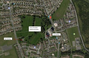Daffodil Park Low Grange Billingham