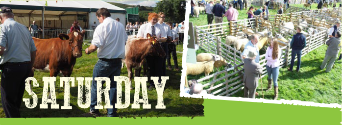 Wolsingham Show - Saturday